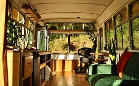 Coffee Grounds - The Bus